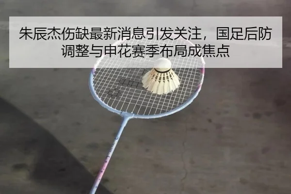 朱辰杰伤缺最新消息引发关注，国足后防调整与申花赛季布局成焦点
